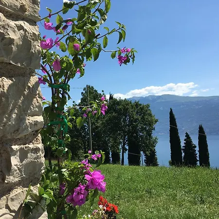 Farm stay Casa Del Castagneto *