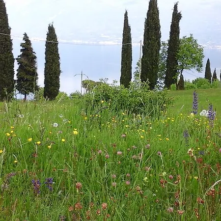 Farm stay Casa Del Castagneto *